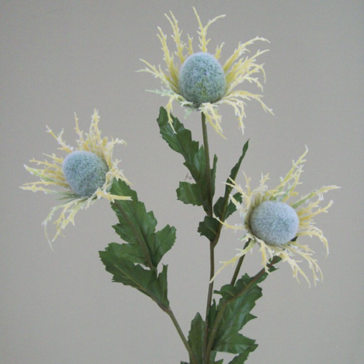 Thistles