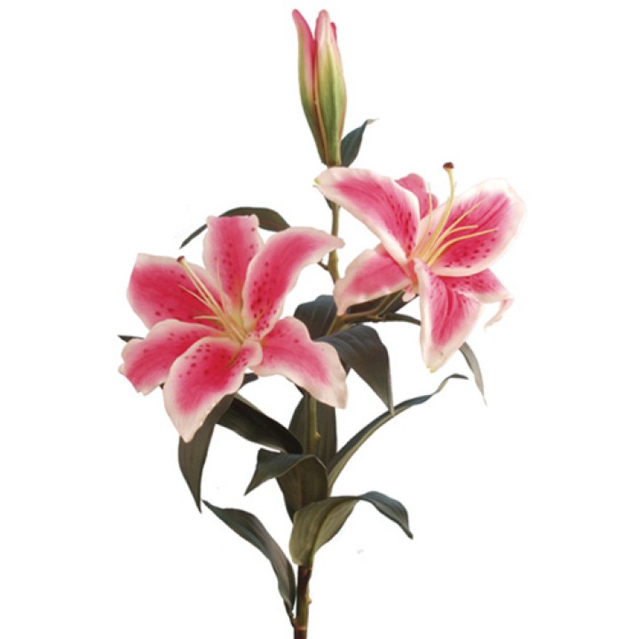 Real Touch Flowers Real Touch Flowers