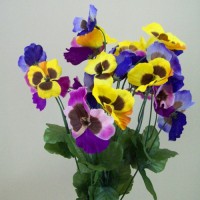 Pansies