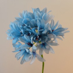 Agapanthus Blue 87cm - A048 A1