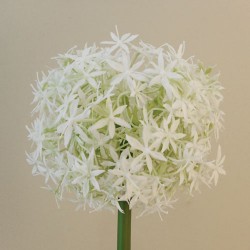 Large Artificial Allium Mount Everest Cream 77cm - A002 A2