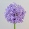 Large Artificial Allium Purple Sensation 77cm - A014 A1