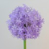 Large Artificial Allium Purple Sensation 77cm - A014 A1 Large Artificial Allium Purple Sensation 77cm - A014 A1