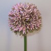 Artificial Hedgerow Allium Purple 54cm - A089 A2 Artificial Hedgerow Allium Purple 54cm - A089 A2