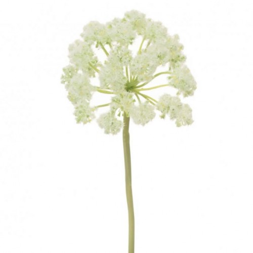 Large Artificial Starburst Allium Cream 85cm - A049 A1