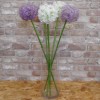 Large Artificial Allium Purple Sensation 77cm - A014 A1