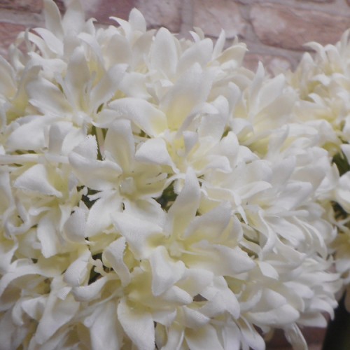 Giant Silk Allium Cream 83cm - A020 A1