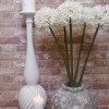 Giant Silk Allium Cream 83cm - A020 A1