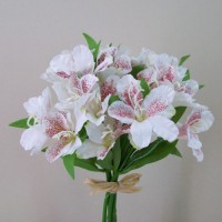Alstroemeria Alstroemeria