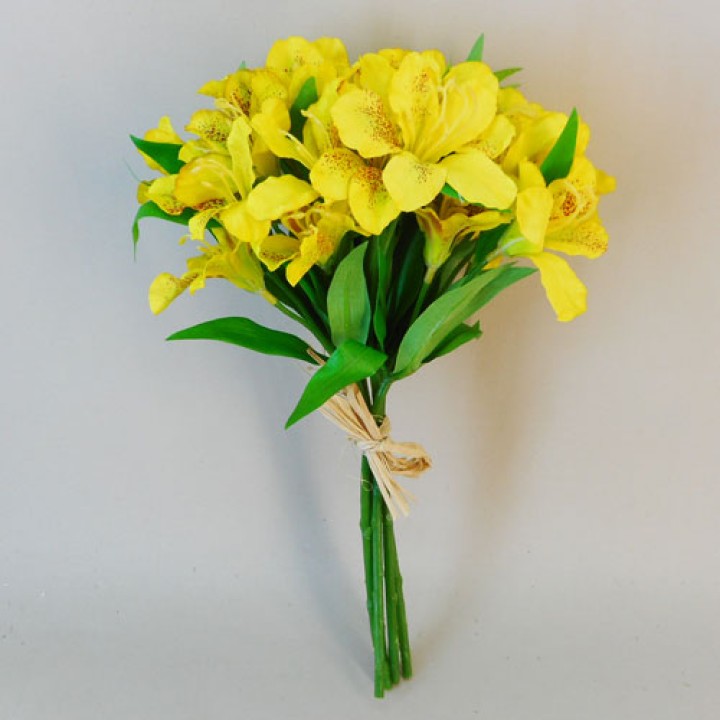 Alstroemeria Alstroemeria