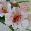 Artificial Alstroemeria Stem Blush Pink 48cm - A051 A4