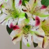 Artificial Alstroemeria Stem Cream Green Pink 48cm - A057 C2