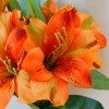 Artificial Alstroemeria Stem Orange 48cm - A050 B2