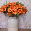 Artificial Alstroemeria Stem Orange 48cm - A050 B2