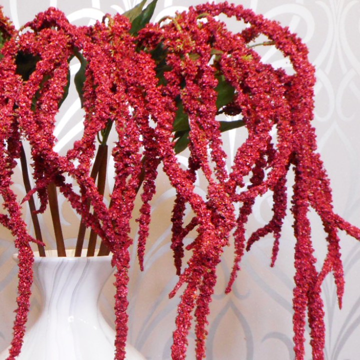 Amaranth