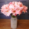 Artificial Amaryllis Pink White 40cm - A118 HH4