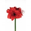 Premium Artificial Amaryllis Red 75cm - A003 A3