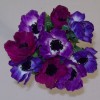 Silk Anemones Posy Purple and Plum 29cm - A085 C4