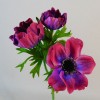 Artificial Anemones Purple Flowers 45cm - A091 A2