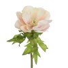 Sorbet Anemones Cream Peach 44cm - A100 A4 Sorbet Anemones Cream Peach 44cm - A100 A4