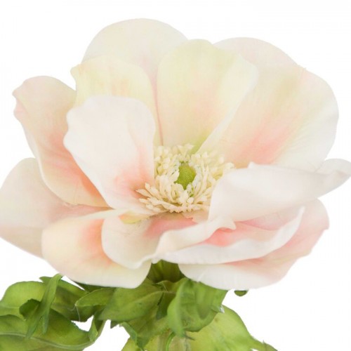 Sorbet Anemones Cream Peach 44cm - A100 A4 Sorbet Anemones Cream Peach 44cm - A100 A4