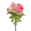 Sorbet Anemones Coral Pink 44cm - A099 A4