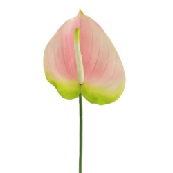 Real Touch Artificial Anthurium Pink and Green 66cm - A027 HH4