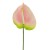 Real Touch Artificial Anthurium Pink and Green 66cm - A027 HH3