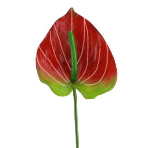 Real Touch Artificial Anthurium Red and Green 66cm - A028 HH4 Real Touch Artificial Anthurium Red and Green 66cm - A028 HH4