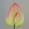 Real Touch Artificial Anthurium Pink and Green 74cm - A012 