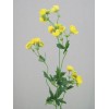 Silk Buttercups 80cm - B003 A3