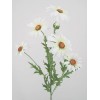 Silk Daisies | Large Artificial Field Daisy 64cm - D016 D3