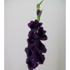 Artificial Gladiola Damson 94cm - G034 Artificial Gladiola Damson 94cm - G034