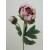Vintage Peony Flowers Purple 52cm - P086 J3
