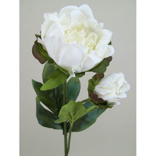 Vintage Peony Flowers Cream 52cm - P089 K2