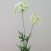 Artificial Queen Anne's Lace White 74cm - Q002 