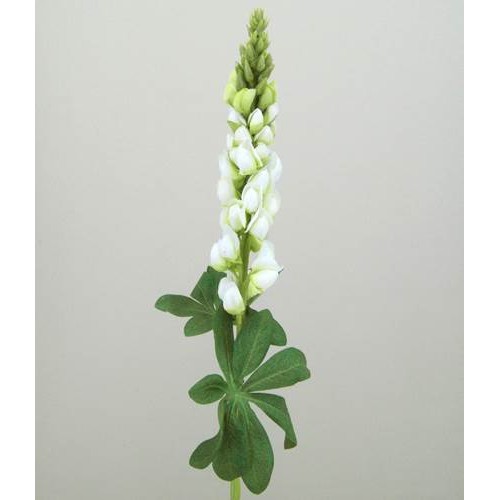 Silk Artificial Lupins Ivory 80cm - L001 I2