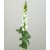 Silk Artificial Lupins Ivory 80cm - L001 I2