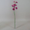 Artificial Sweet Peas Stem Hot Pink 49cm - S066 S2