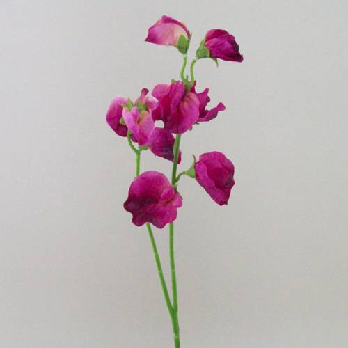 Artificial Sweet Peas Stem Hot Pink 49cm - S066 S2