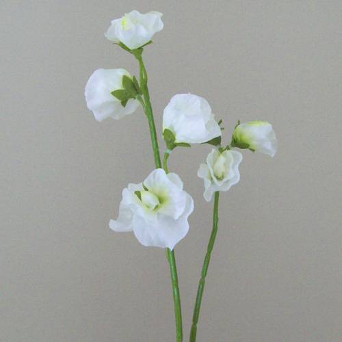 Artificial Sweet Peas Stem White 49cm - S065 S2