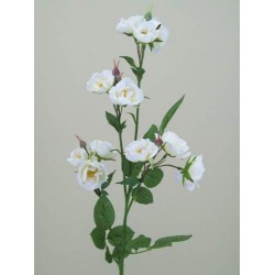 Wild Rose Spray White 74cm - R102 L3