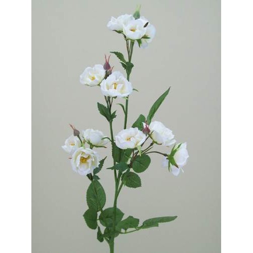 Wild Rose Spray White 74cm - R102 M3