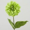 Zinnia Lime Green 46cm - Z019 T2