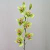 Artificial Cymbidium Orchid Lime Green 81cm - O076 