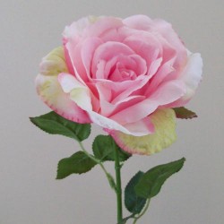 English Roses Pale Pink 46cm - R419 O4