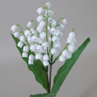 Lily of the Valley