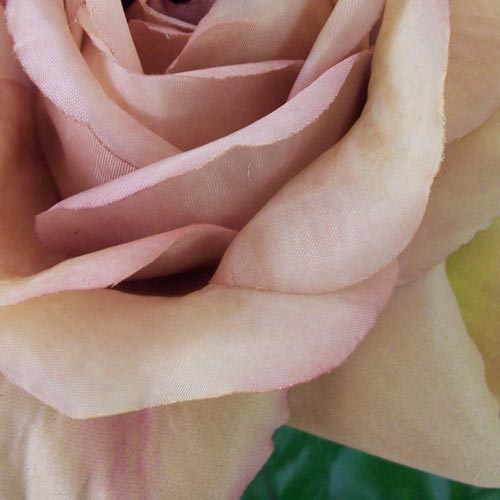 Artificial Tea Rose Vintage Apricot 70cm - R279 LL1