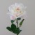 Artificial Roses Champagne Moment Cream Pink - R146 O4