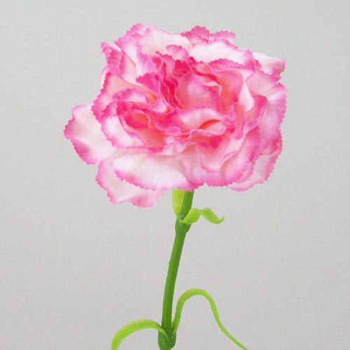 Artificial Silk Carnation Pink Cream 60cm - C150 B3